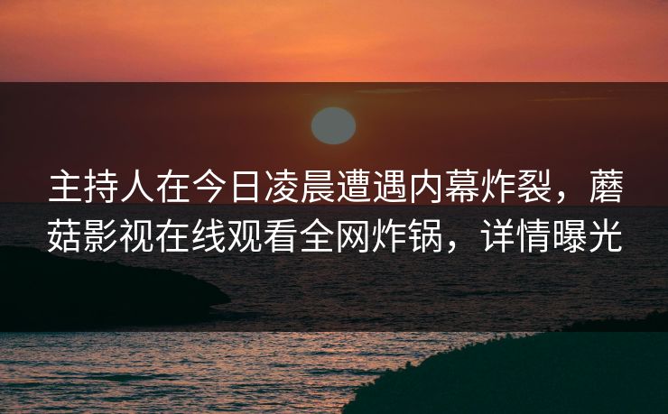 主持人在今日凌晨遭遇内幕炸裂，蘑菇影视在线观看全网炸锅，详情曝光