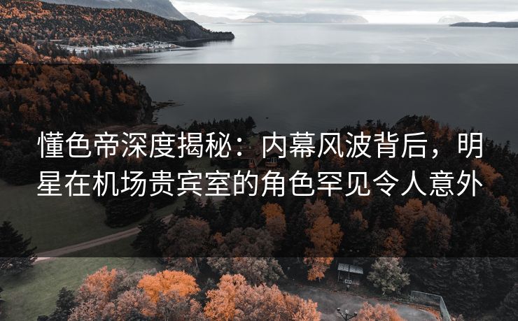 懂色帝深度揭秘：内幕风波背后，明星在机场贵宾室的角色罕见令人意外