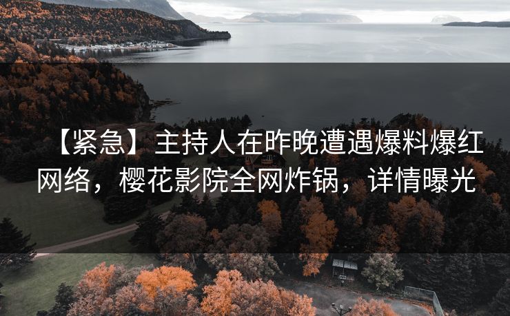 【紧急】主持人在昨晚遭遇爆料爆红网络，樱花影院全网炸锅，详情曝光