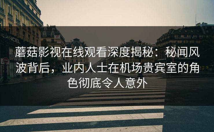 蘑菇影视在线观看深度揭秘:秘闻风波背后,业内人士在机场贵宾室的角色彻底令人意外 蘑菇影视在线观看深度揭秘:秘闻风波背后,业内人士在机场贵宾室的角色彻底令人意外