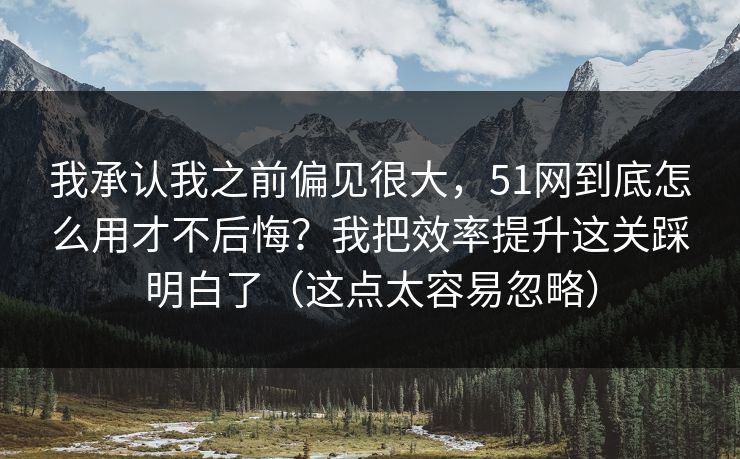 我承认我之前偏见很大，51网到底怎么用才不后悔？我把效率提升这关踩明白了（这点太容易忽略）